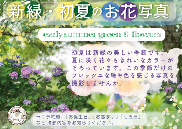 筑前町写真館 サンプラスナナ・フォト 夏写真のススメ
