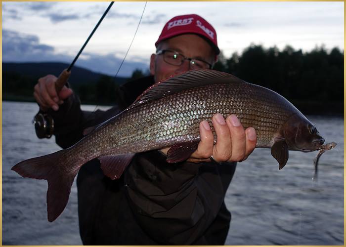 Rekord-Äsche 53 cm, Norwegen 2016