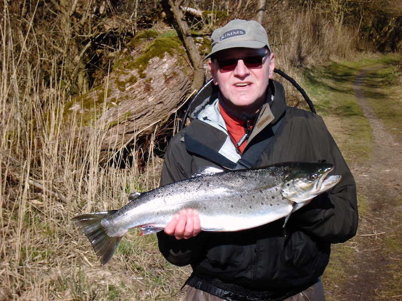 Meerforelle 69 cm & 4,5 Kg gefangen von Ralph, 2015 in DK