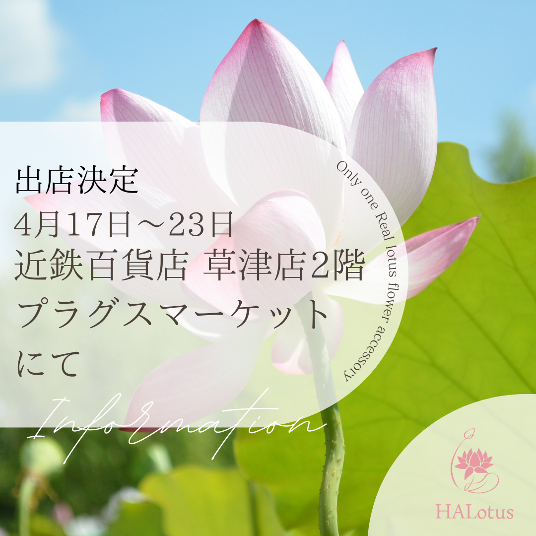 出店決定