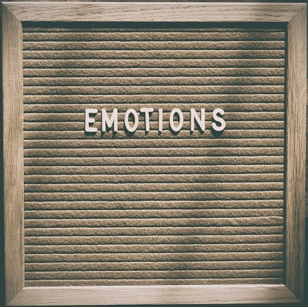 Ma vie, mes émotions, mon changement, 2e édition