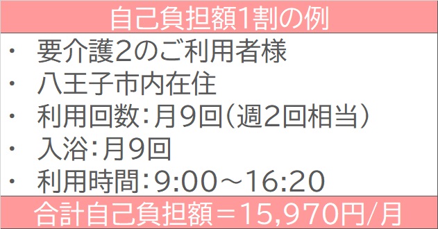 自己負担額1割の例 要介護2のご利用者様 八王子市内在住 利用回数：月9回（週2回相当） 入浴：月9回 利用時間：9:00～16:20 合計自己負担額＝15,970円/月