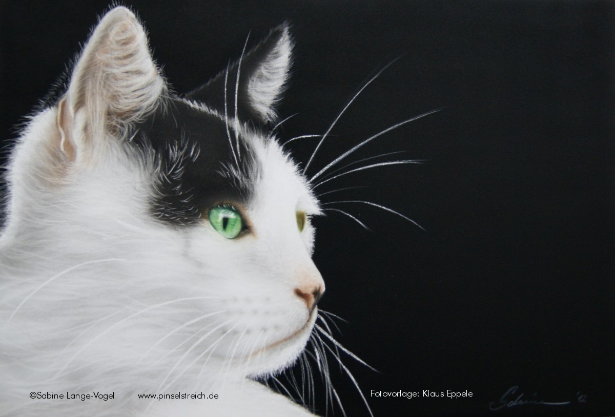 "Lissy" Airbrushkarton ca. 36 x 25 cm Fotovorlage: Klaus Eppele