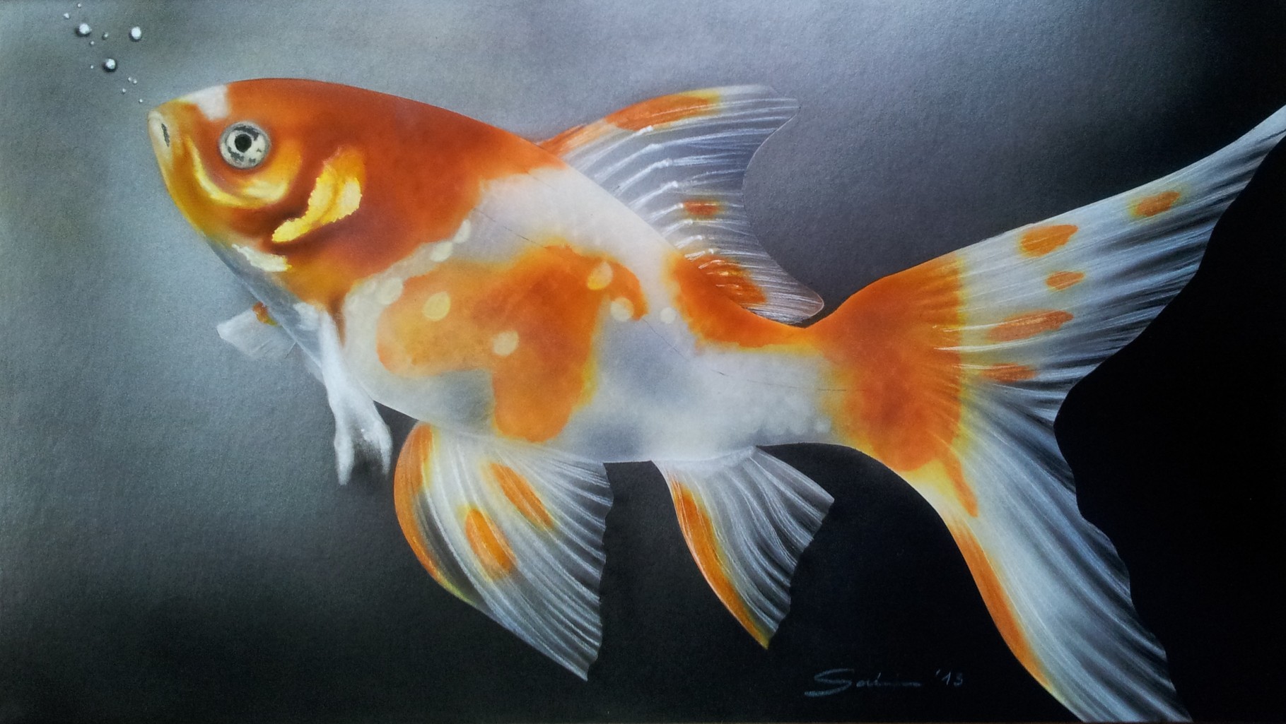 "Goldfisch" Airbrushkarton ca. 37 x 20 cm Fotovorlage: Klaus Eppele