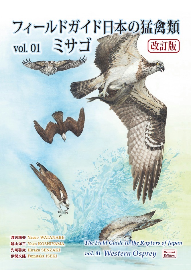 猛禽類学 猛禽類学 | 山崎 亨 |本 | 通販 | Amazon