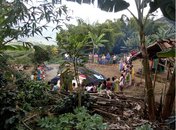 Foto: Guakuma. Zona rural Quinchía, Risaralda