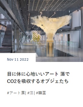 目に体に心地いいアート 藻でCO2を吸収するオブジェたち　　スイス在住ライター 岩澤里美