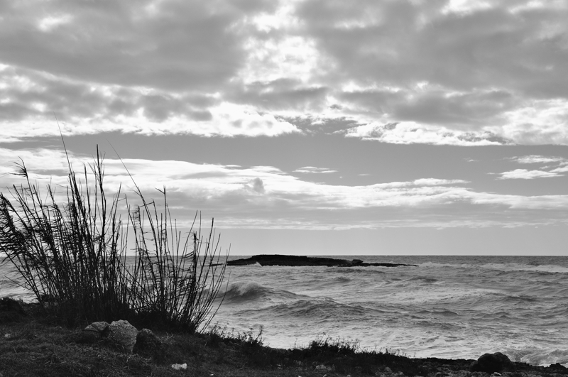 Strandgeflüster