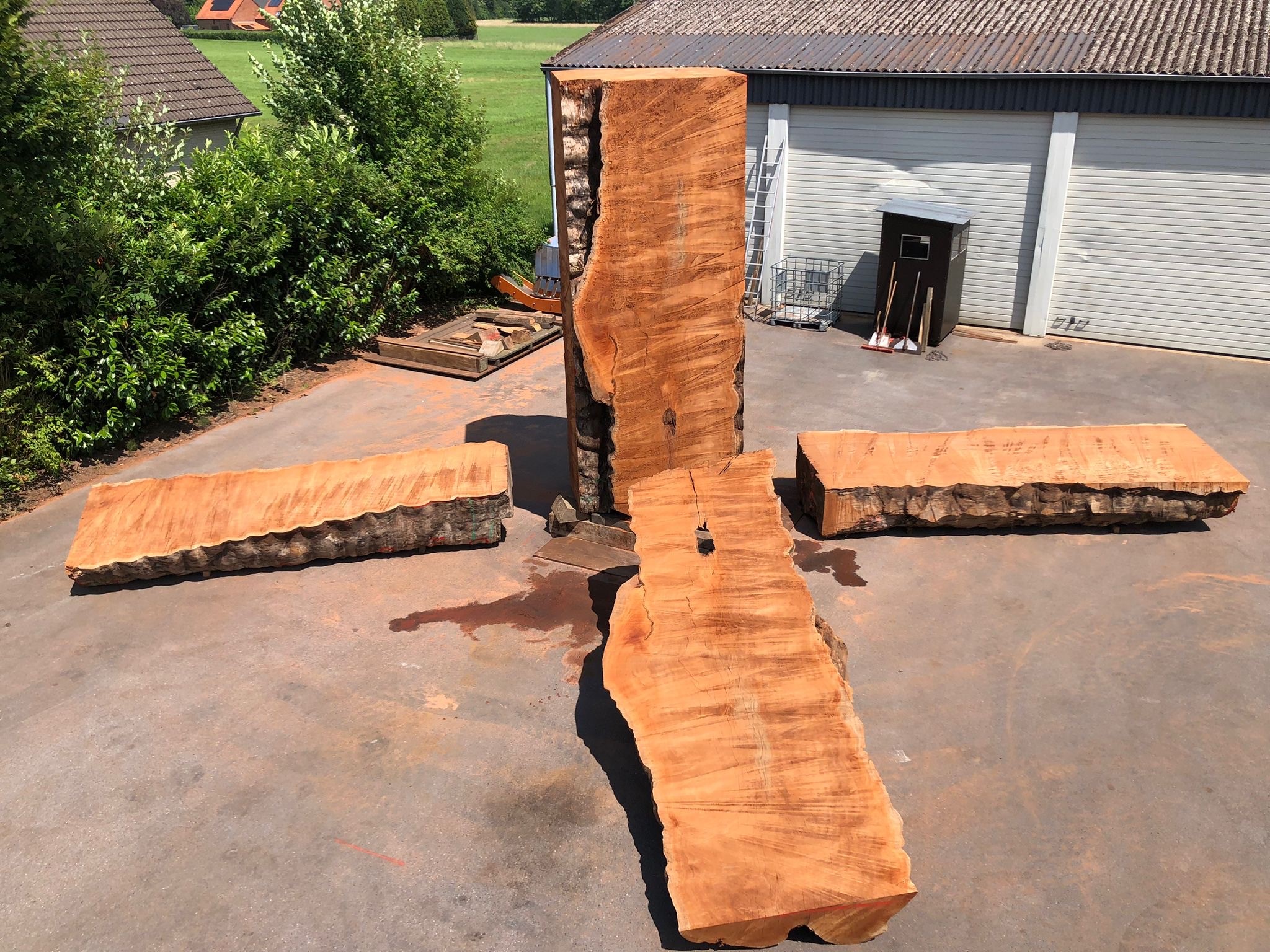 Fully trimmed log