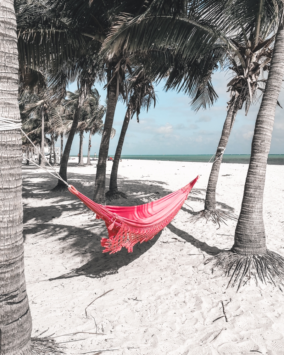Hängemaate am Strand von Key Biscayne