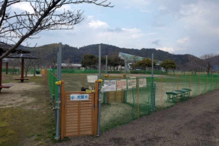 【東郷湖羽合臨海公園　ドッグラン】<ペットと遊べる>各宿から車で約20分