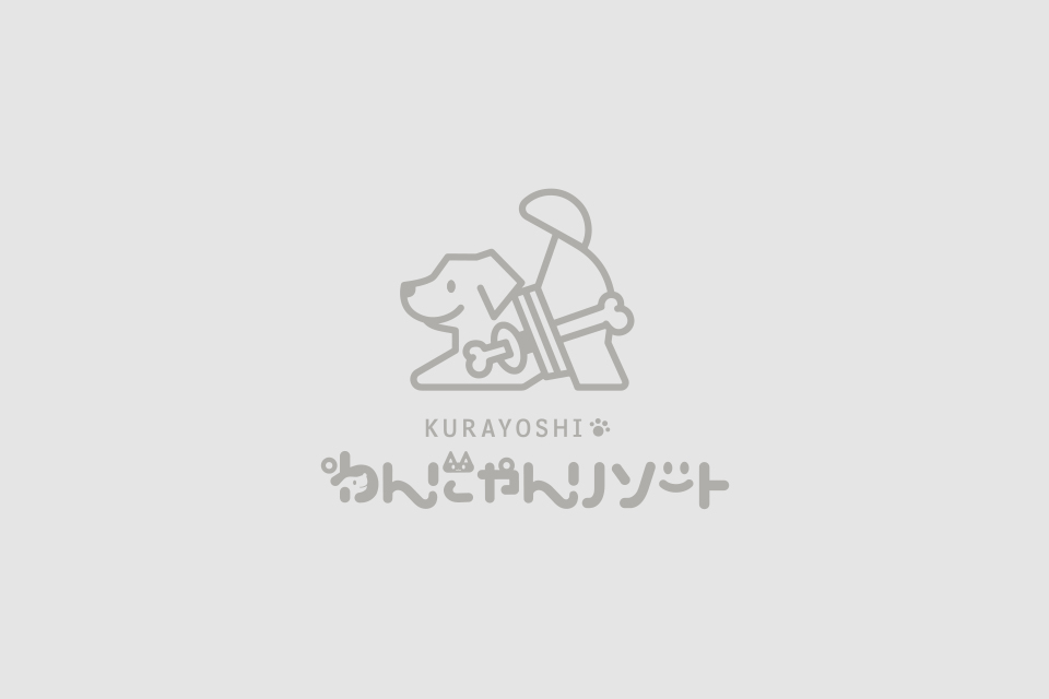 セルフチェックイン導入のご案内