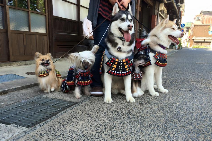 【ペットのおみやげ　かんだや】<ペットと遊べる>各宿から徒歩で約2〜15分