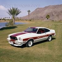 Mustang Cobra 78