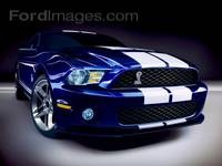 Mustang Shelby GT500 2010