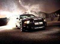 Shelby GT500 2012