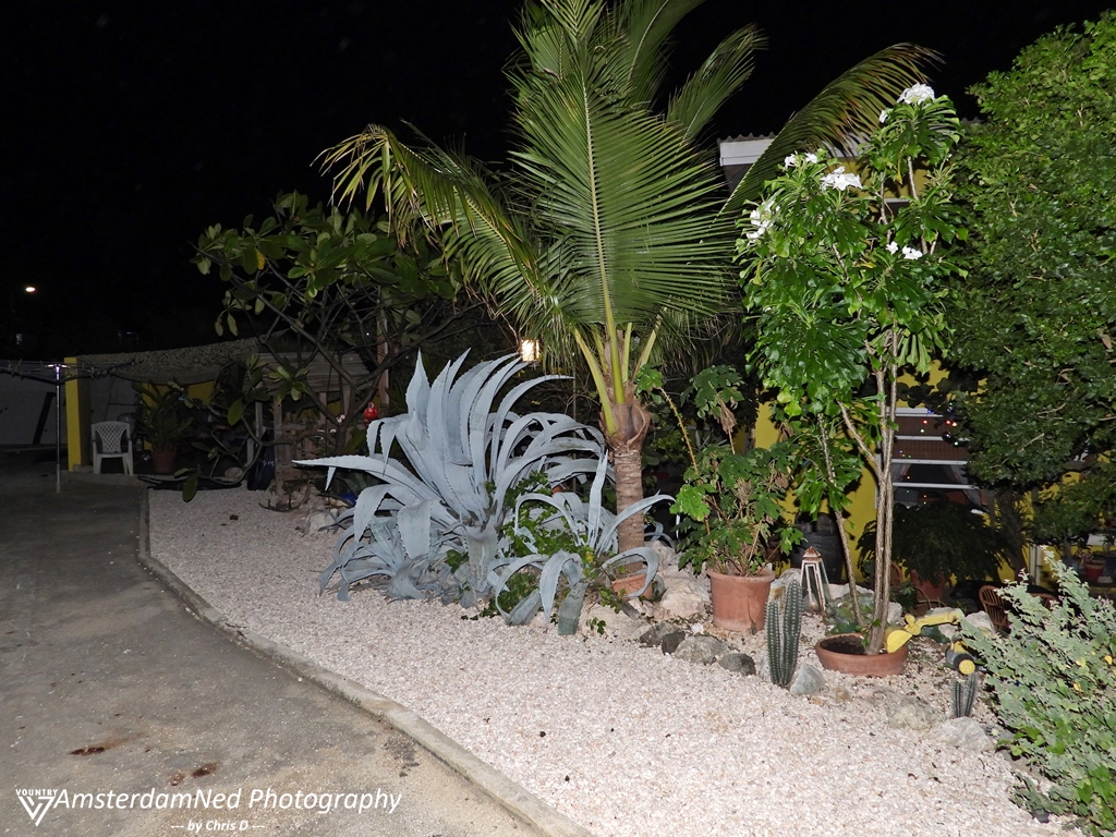 20250220 VC25 Djaweps, Oud Baya Beach, Steenvis 2-0 Visser, de botanische tuin van the Hermanator en Karin