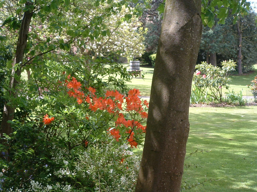 vue du parc