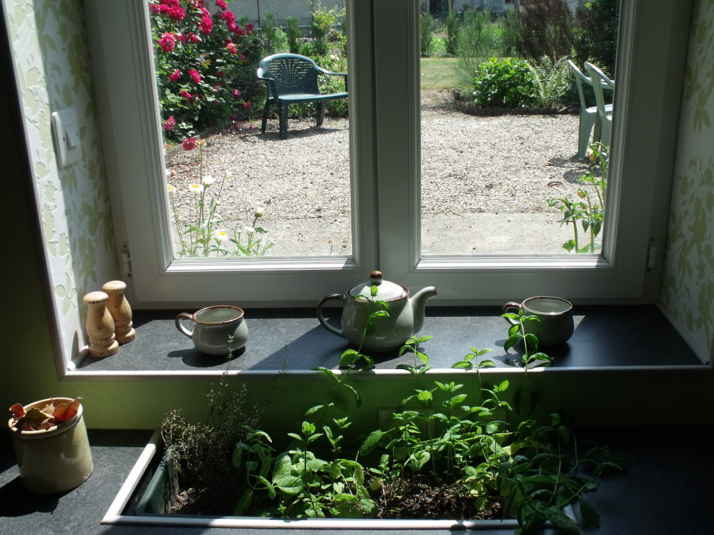 vue depuis la cuisine