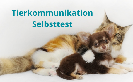 Lächelnde Astrid Huber hält grauen Chinchilla zu ihrem Gesicht