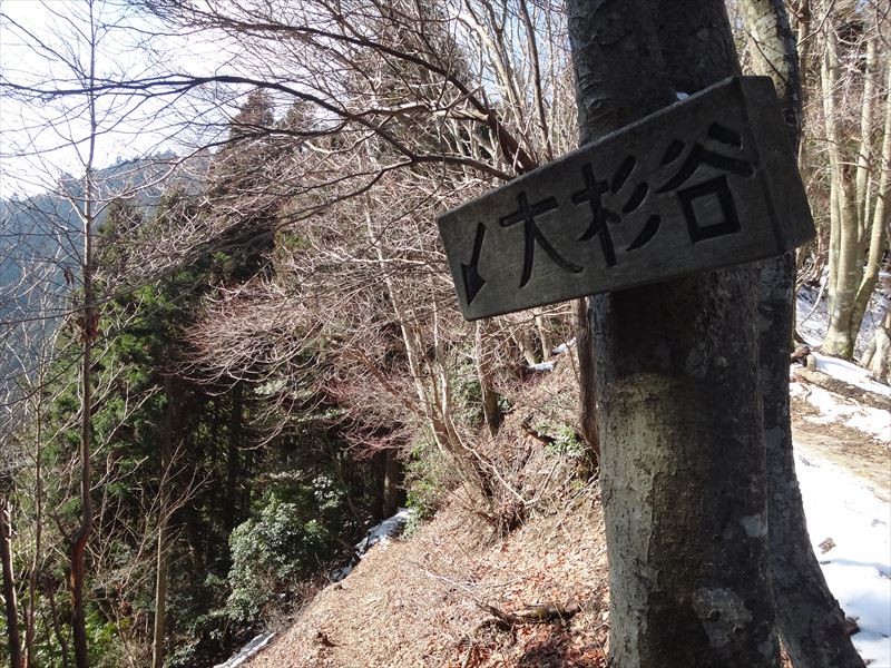 大杉谷ルートの分岐を通過
