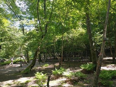 天の原。お天気のいい日にテントを張ってゆっくり過ごしたい場所です。