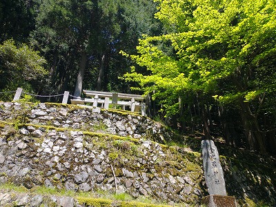 金毘羅神社。金毘羅道登山口から神社までは2km弱の林道が続きます。