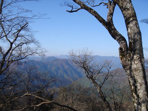 樹間より大峰の山々を望む、快晴！！（写真Ｍ内さん）