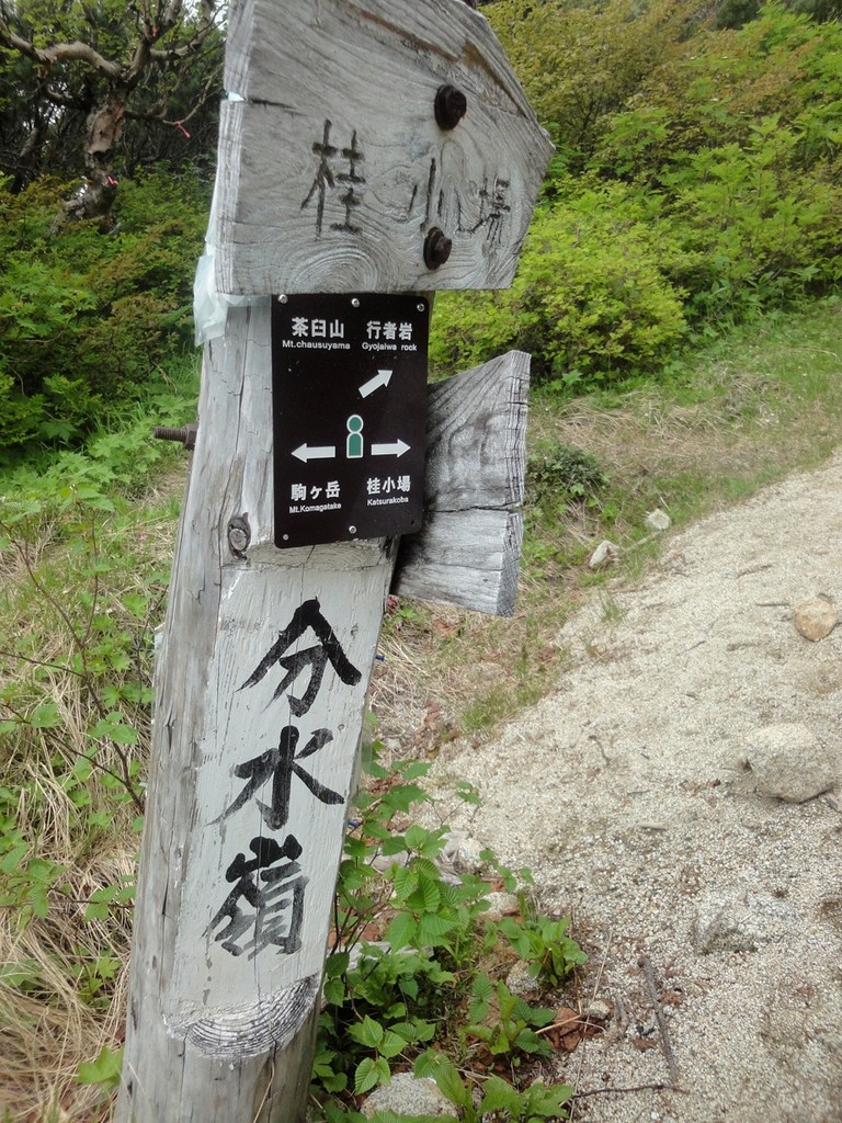 桂小場分岐点。ここから少しずつ人と出会い始める。