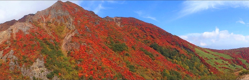 登り始めてすぐにこの景観。いきなり圧倒された。