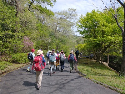 城山から下山して西ゲートへ。新緑がとってもきれいです。