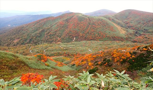 10/9 秋田駒ケ岳　8合目までの道路が見えます。紅葉真っ盛り。明日登る乳頭山も見える