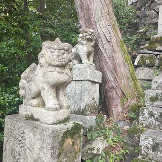 太郎坊宮で見つけた角のある狛犬さん。狛犬好きにはたまりませんね。ラッキー(^^)