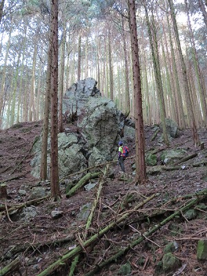 音羽山のスフィンクス。周囲に同化しているせいか今まで気づかなかったがスフィンクス岩だ。