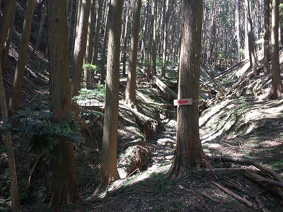 鳴滝不動尊に続く谷道です。台風の影響でしょうか、道が崩れて矢印が取り付けられていました。