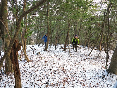 雪景色の樹林帯。雪踏みの感触と景色を楽しみながら登ります。