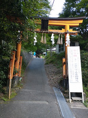 2024年は諸事情により、愛宕山千日詣は7月23日～8月1日の昼間だけのようです。夜中は登れませんのでご注意ください。