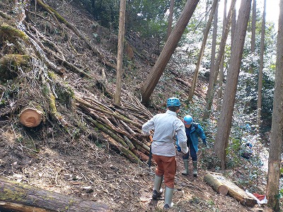切った木を登山道脇にきれいに積んでいきます。倒木処理後も美しく。