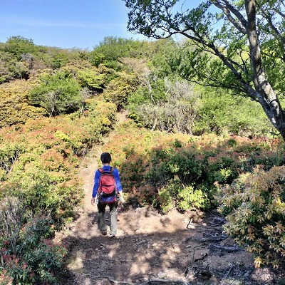 愛宕山から地蔵山への登山道はとても気持ちがよかったのでお勧めです。
