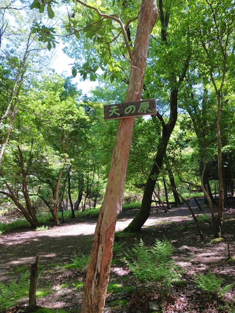 天の原