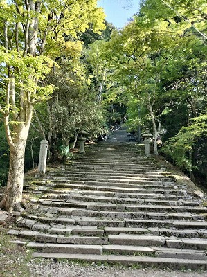 新緑がとってもきれいな早朝の愛宕山。