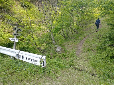 鳥越峠への分岐
