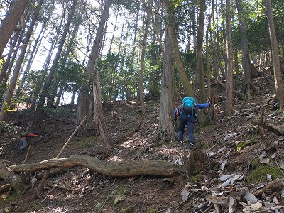 三番目の谷筋を登る。もう少しで縦走路に出ます。ヤッター!脹脛をよく使いました。