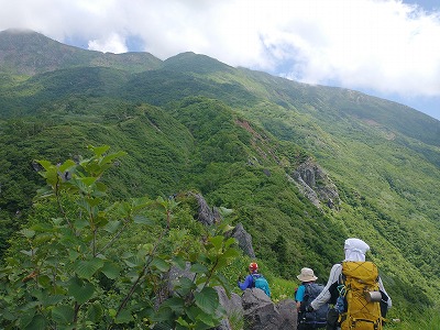 高山植物に癒されながらゴールを目指します。