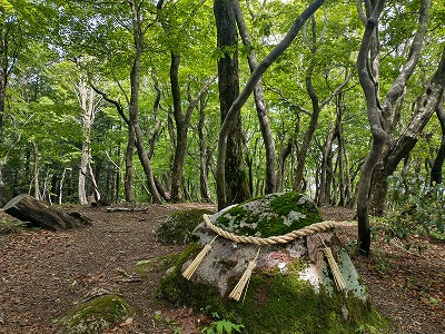 花崗岩でこの会の守護岩です。ブナがこの森を守っているような神聖な雰囲気です。