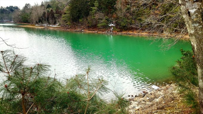 沢の池