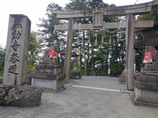 ケーブル駅近くまでくると風が少し出てきてここち良かったです。