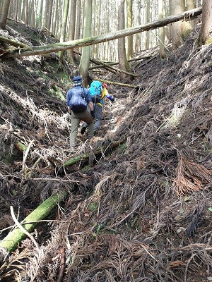 300ｍ程登ります、単調な登りでなかなかハードです。