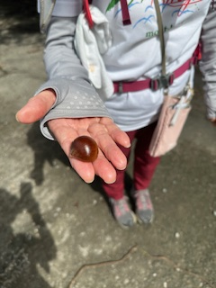 ひと休み　モグモグタイム