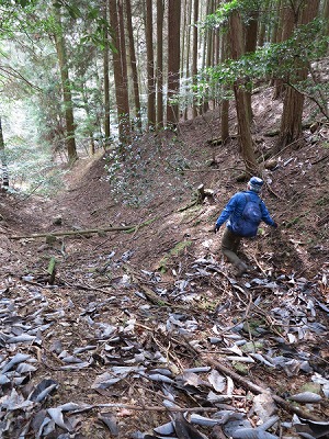ここを下っていくと音羽山の屏風岩にたどり着きます。